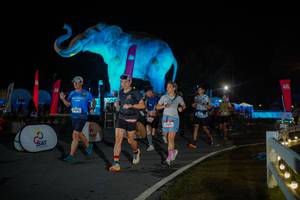 BIB: 
                            <button type="button" onclick="openModal(26551970)" class="btn btn-primary btn-sm float-right btn-popup" data-toggle="modal" data-target=".modal-high-quality">
                        <i class="fas fa-shopping-cart"></i> Add to Cart
                    </button>
                                            <button type="button" onclick="isThisMe(26551970, true)" class="btn btn-success btn-sm float-right btn-popup btn-isme hidden" data-toggle="tooltip" data-placement="bottom" title="นี่คือรูปของคุณใช่ไหม คลิกที่นี่เพื่อเอาเข้าอัลบั้ม">
                        <i class="fas fa-plus"></i> Add to album
                    </button>
                    <button type="button" onclick="isThisMe(26551970, false)" class="btn btn-warning btn-sm float-right btn-popup btn-isnotme hidden">
                        <i class="fas fa-ban"></i> Remove from album
                    </button>